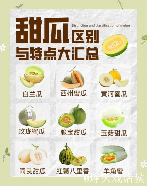 最新吃瓜合集分享百度网盘资源大全